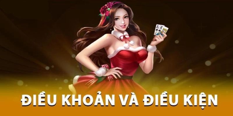 Nội dung chính trong điều khoản điều kiện 789P